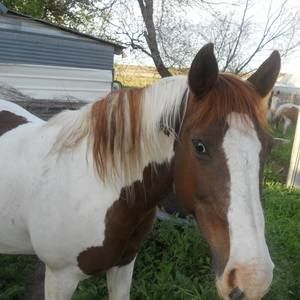 Meet your Posher, Jack